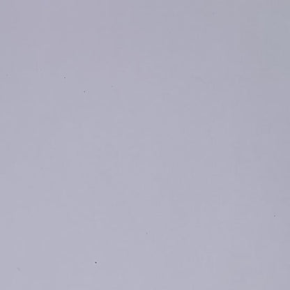 "CHI CHI DIED" Sticker