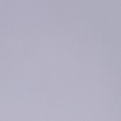 "FUNHOUSE BUG" Sticker